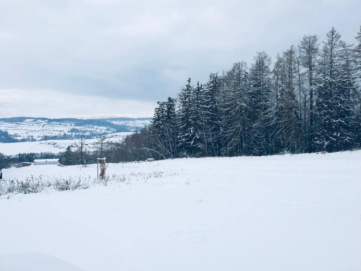 Apartman U Sedmikrasky Vaclavov u Bruntalu エクステリア 写真