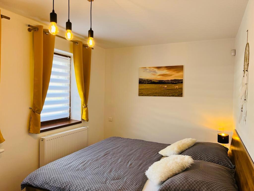 Apartman U Sedmikrasky Vaclavov u Bruntalu エクステリア 写真